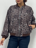 بامبر پلنگی