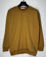 دورس بیسیک شتری