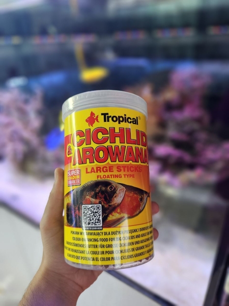 غذای استیکی مخصوص آروانا و انواع نژاد سیچلاید