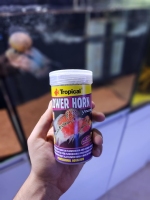 غذای فلاور هورن تروپیکال250ml