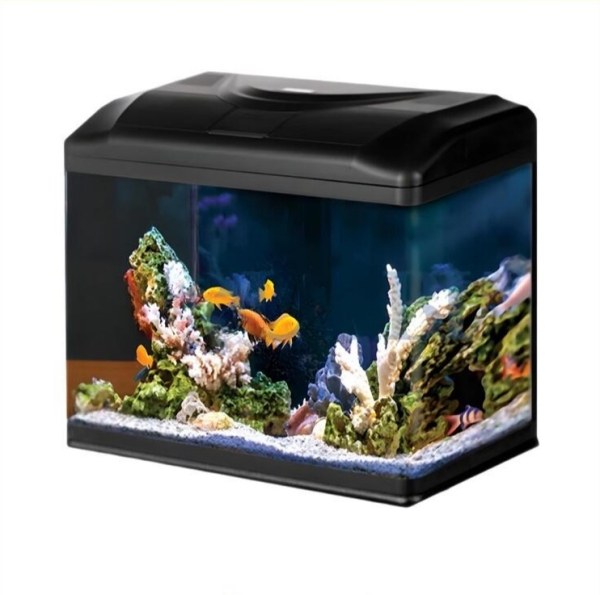 آکواریوم K580 دلسا