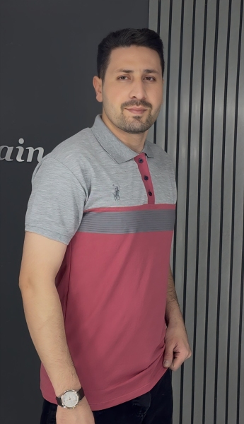 پولوشرت مردانه گلبهی